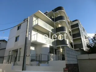 ミリアビタNO 32の画像