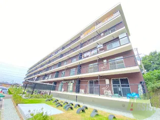 高津橋農住団地C棟の画像