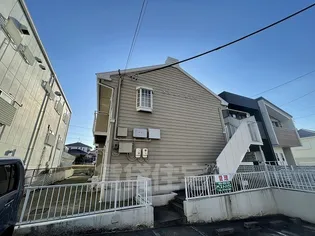 タウニーボリーの画像
