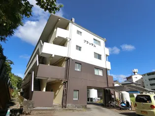 ブラッサム【3階】の地図