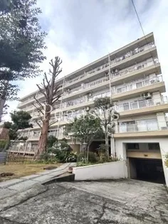 メタセコイヤマンションの画像