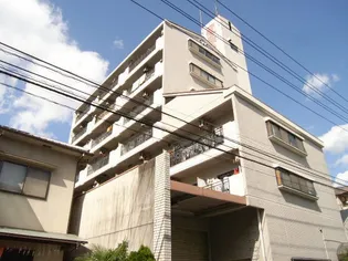 カノープス中広の画像