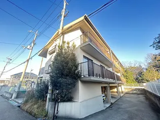 カトレアハイツ【2階】の外観