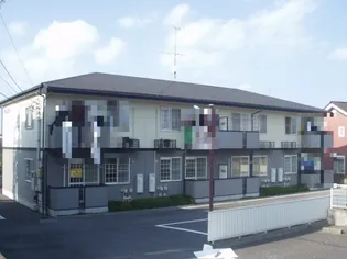 アミスターの画像