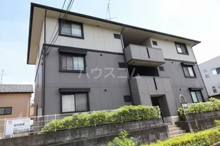 ハイカムール駒形の画像