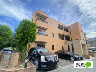 スリー ティーの画像