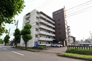 THE T O Mの画像