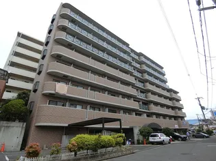 プランドールマサキ【8階】の外観