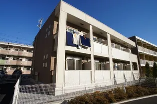 シャロル ナカの画像