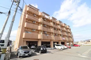 プリメーラ中央の画像