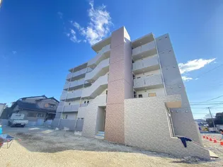 GRACIA新貝の画像