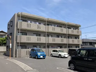 ひまわりTAZの画像