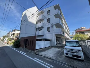 セゾンアルビレオの画像