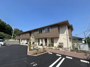 SHAMAISON SAKURAの画像