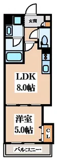セレニティ小若江A棟【1階】の間取り