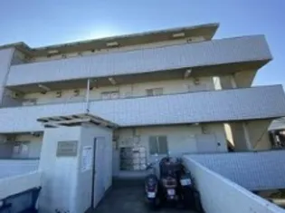 パレドール稲田堤Ⅲの画像