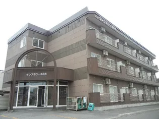 サンフラワーの画像