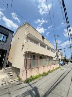 グレイスランドの画像