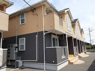 ファシネイションⅡの画像