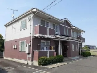 プリムローズの画像