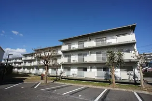 テレパレス柏てるて 北街区 4号棟の画像