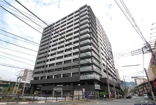 フェルトの画像