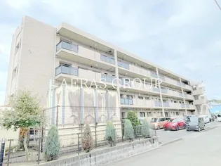 アンソレイエ アオキの画像