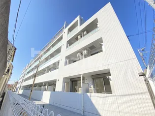 スアヴィス舎人の画像