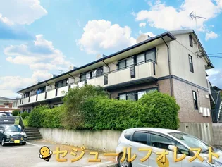 セジュールフォレストの画像