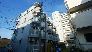 DOM二子新地の画像