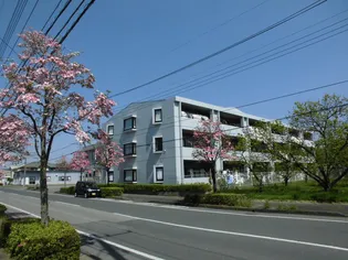 メゾン ド ロゼの画像