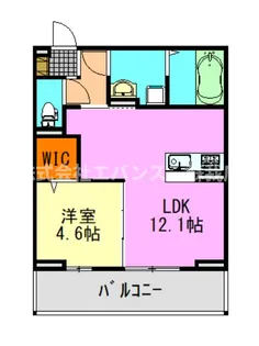 D-SOLACE末広4丁目【1階】の間取り