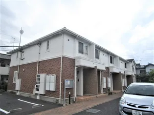 クローバーの画像