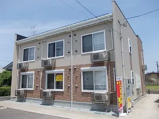 サムシンエルスの画像