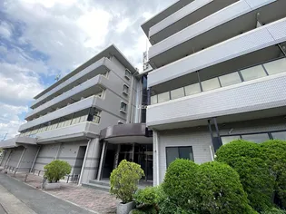 コリンノルドの画像