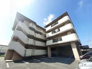 サンビレッジシンエイ【1階】の外観