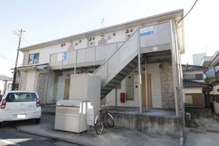 アムールマリーの画像