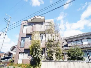 ELLE C'EST LA VIEの画像