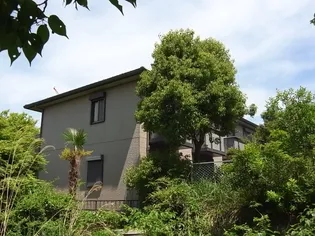 ハイツ・S77【2階】の外観