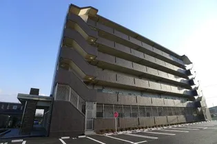 アルコ イーリスの画像