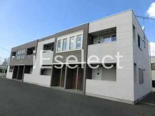 SUNNYWELL HAYANOの画像