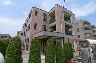 マイルドの画像