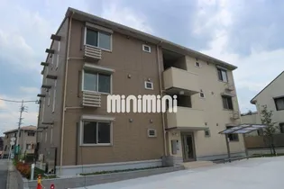 オルテンシアの画像