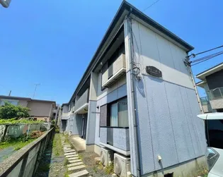 グレースFの画像