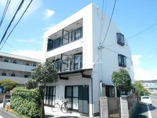グレイスサクラの画像