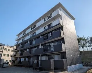 ライトコートの画像