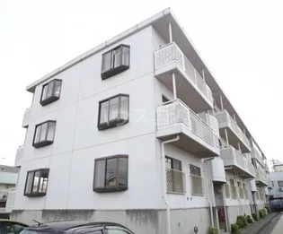 ピースフル18の画像