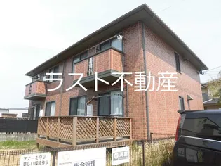 セリシアの画像