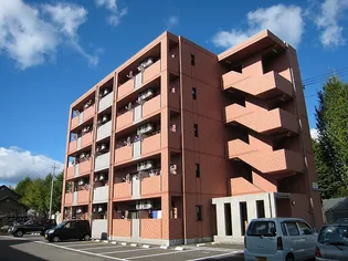 DIチェスナッツヒルズの画像