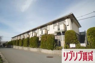 ノーベルパーク 15【1階】の外観